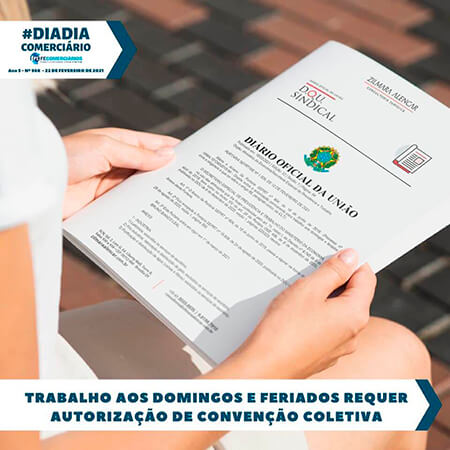 Dia-a-Dia da Federação