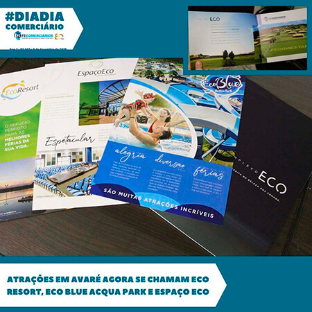 Dia-a-Dia da Federação