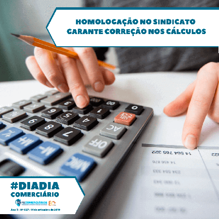 Dia-a-Dia da Federação