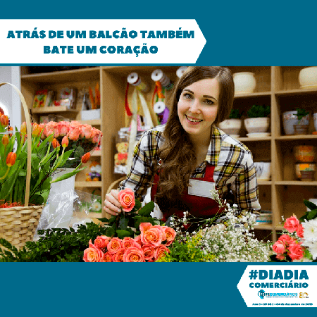 Dia-a-Dia da Federação