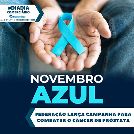 Dia-a-Dia da Federação