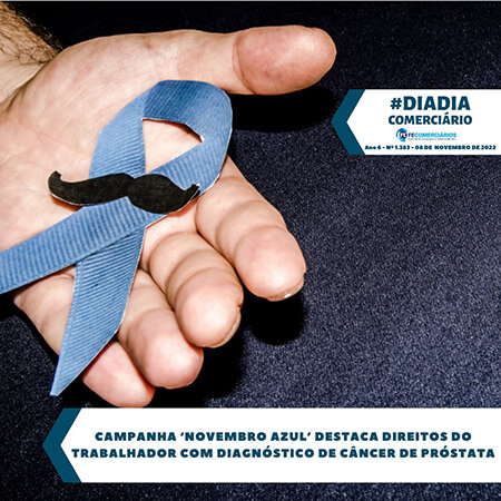 Dia-a-Dia da Federação